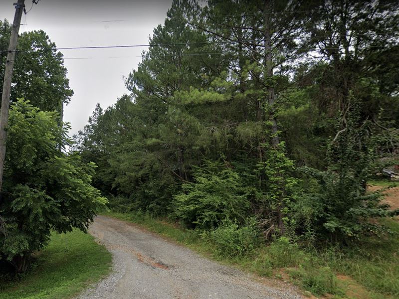 2.34 Ac for Sale in Brookwood, AL : Brookwood : Tuscaloosa County : Alabama