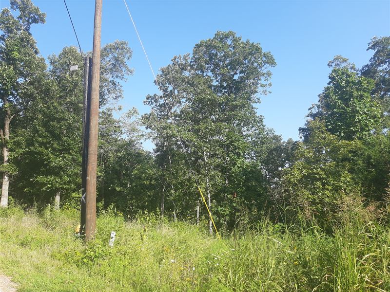 Only Few Miles From Missouri State : Bella Vista : Benton County : Arkansas