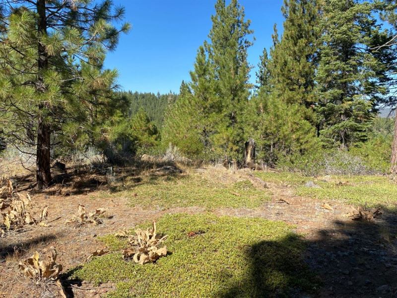 1 Acre for Sale in Alturas, CA : Alturas : Modoc County : California