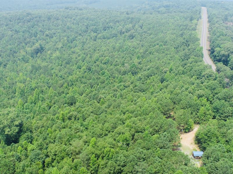 Wilkinson Forest, Tract 2 : Gordon : Wilkinson County : Georgia