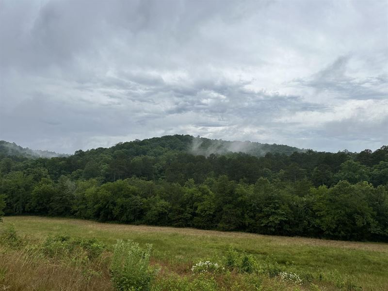 North Fork Ranch in The Ouachita Na : Mount Ida : Montgomery County : Arkansas