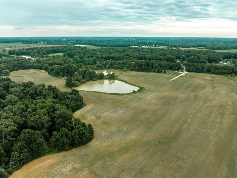 Moberly Farmland : Madison : Monroe County : Missouri