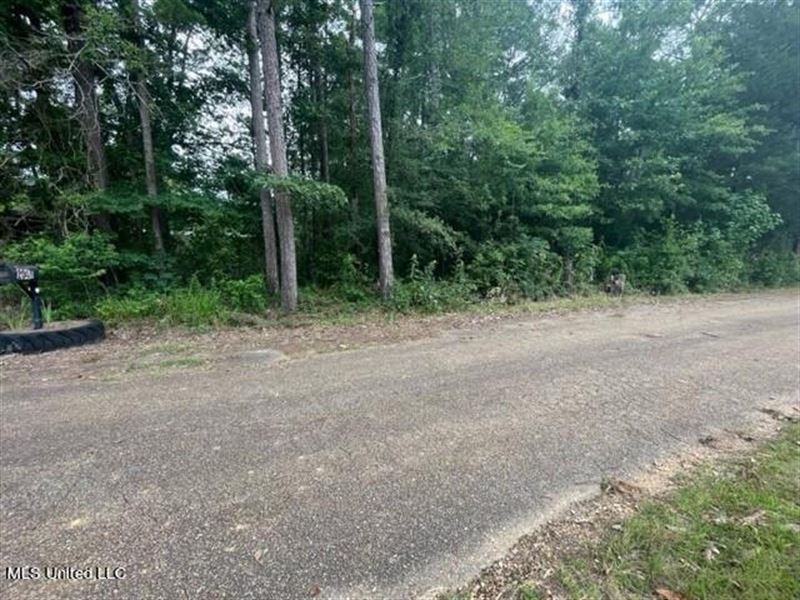 .18 Acre Lot for Sale Shady Oaks : Brandon : Rankin County : Mississippi