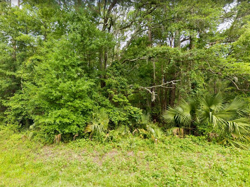 Duplex or Site Built Welcomed : Perry : Taylor County : Florida