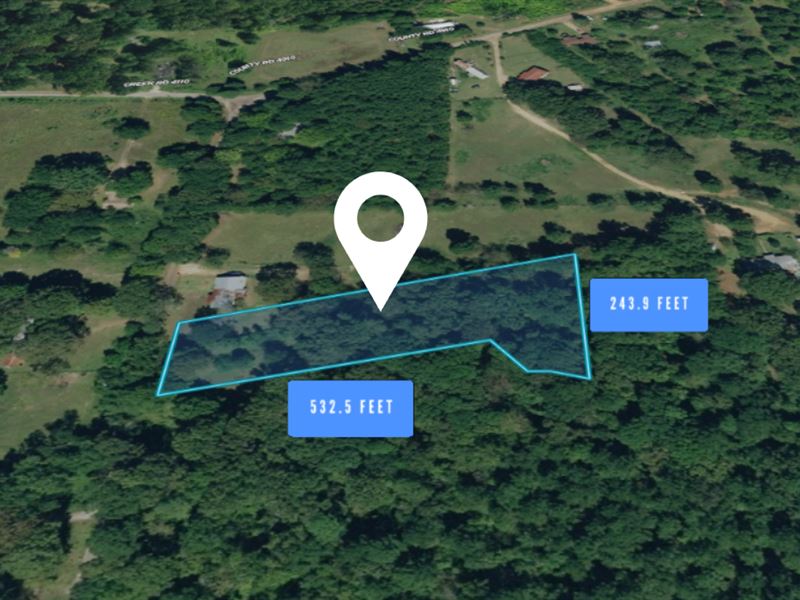 Nature's Hidden Gem : Troup : Cherokee County : Texas
