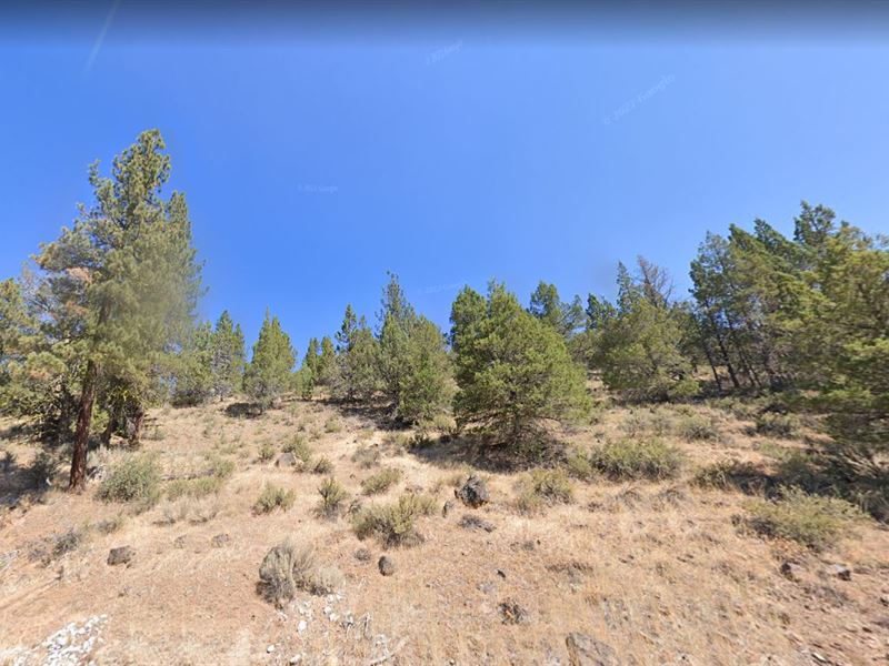 Do Things Your Own Way Living in CA : California Pines : Modoc County : California