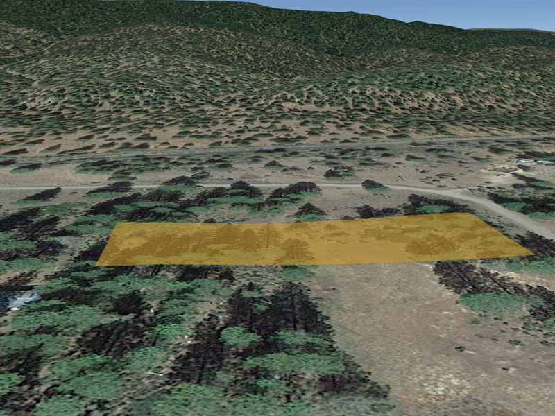 Beautiful Wooded Property : Lookout : Modoc County : California