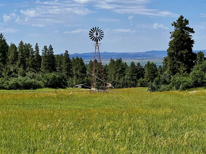 Emerald Meadows Ranch : Bayfield : La Plata County : Colorado