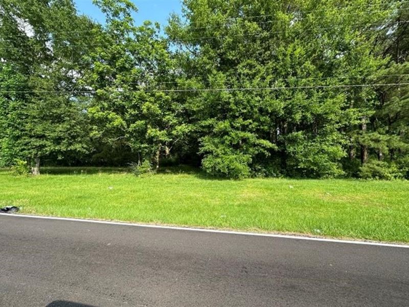2 Commercial Acres in Hinds County : Jackson : Hinds County : Mississippi
