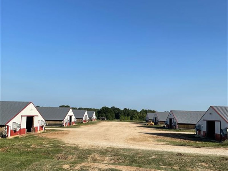 8 New Broiler House Farm IN Texas : Groesbeck : Limestone County : Texas