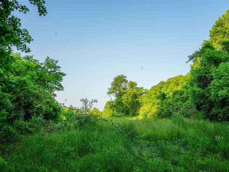 Twp Rd 82 44, Land for Sale in Ohio, 354556 LANDFLIP