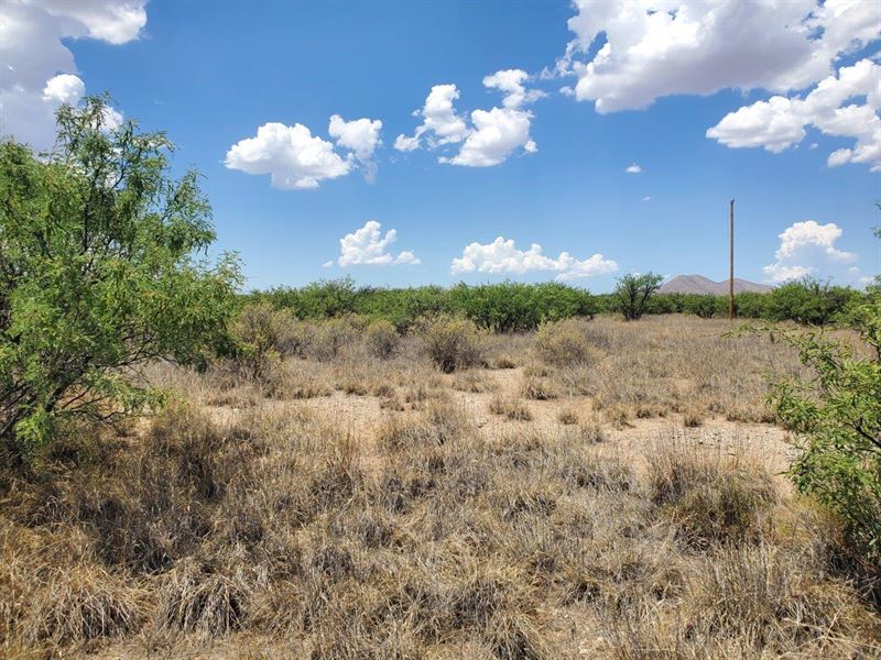 Double Lot for Your Home : Cochise : Cochise County : Arizona