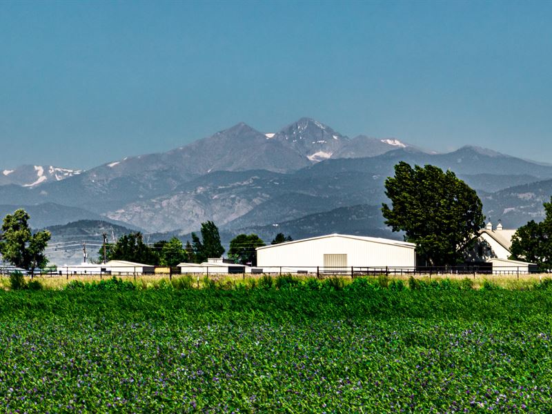 Sanchez Farm : Loveland : Weld County : Colorado