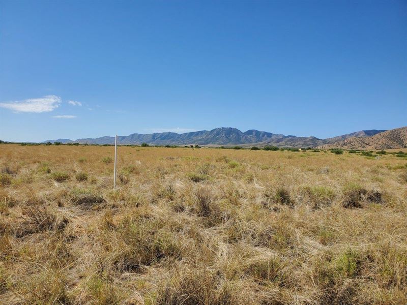 Off-Grid Property with Views : Pearce : Cochise County : Arizona