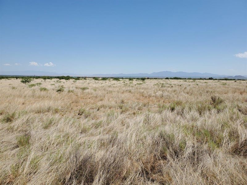 Quiet 1.07 Acre Off-Grid Property : Pearce : Cochise County : Arizona