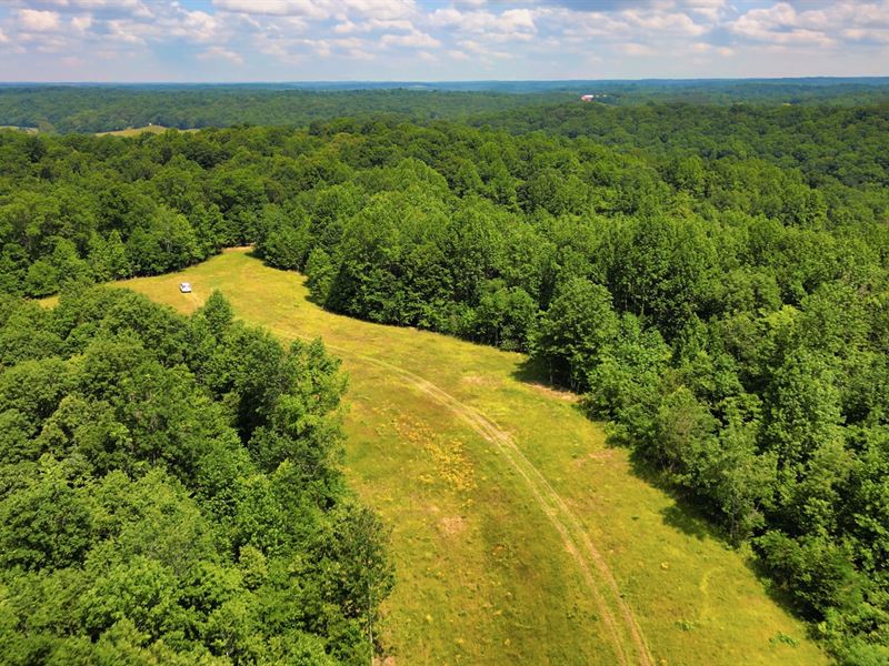 3.2 Wooded Acres in Tennessee : Indian Mound : Stewart County : Tennessee