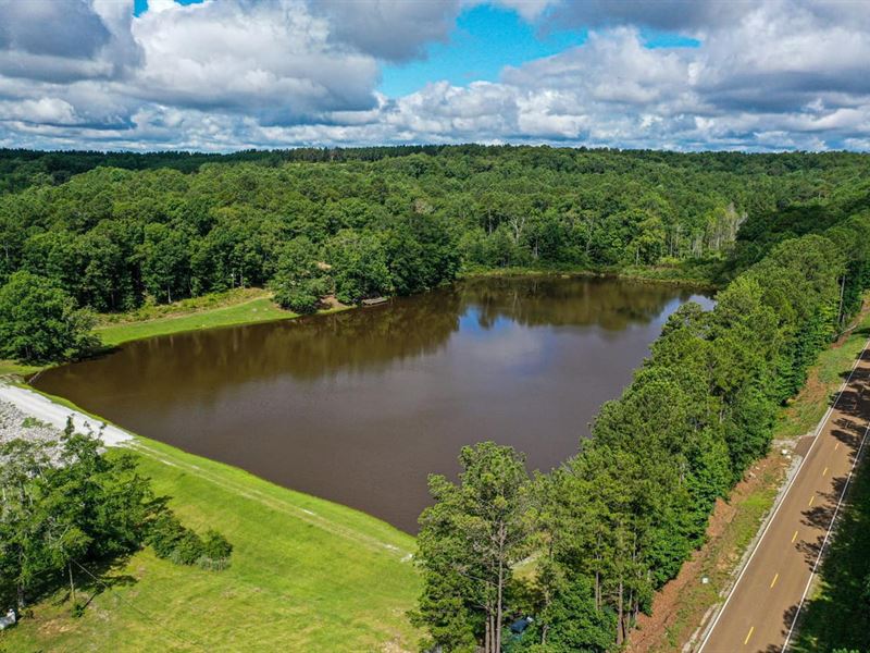 Neshoba County 73 Lake View : Philadelphia : Neshoba County : Mississippi