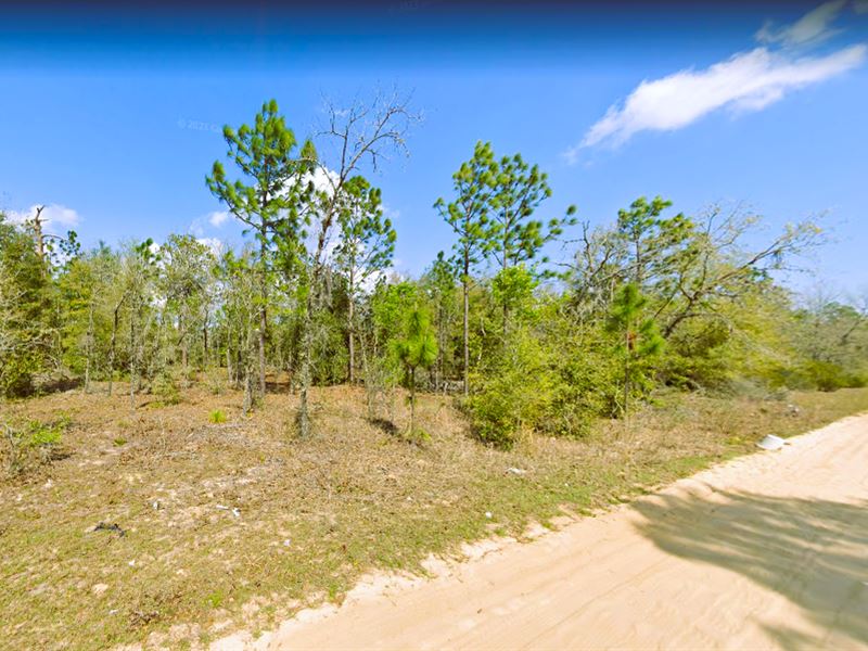 A Charming & Quaint Neighborhood : Interlachen : Putnam County : Florida