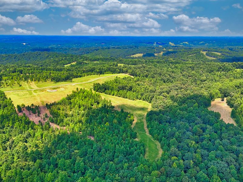9.3 Wooded Acres with Water Well : Indian Mound : Stewart County : Tennessee
