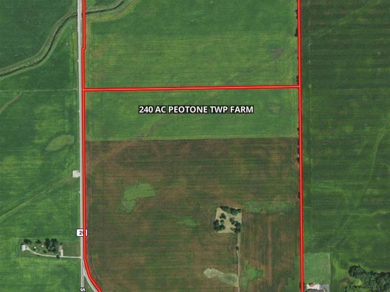 240 Acre Peotone Twp Farm : Peotone : Will County : Illinois