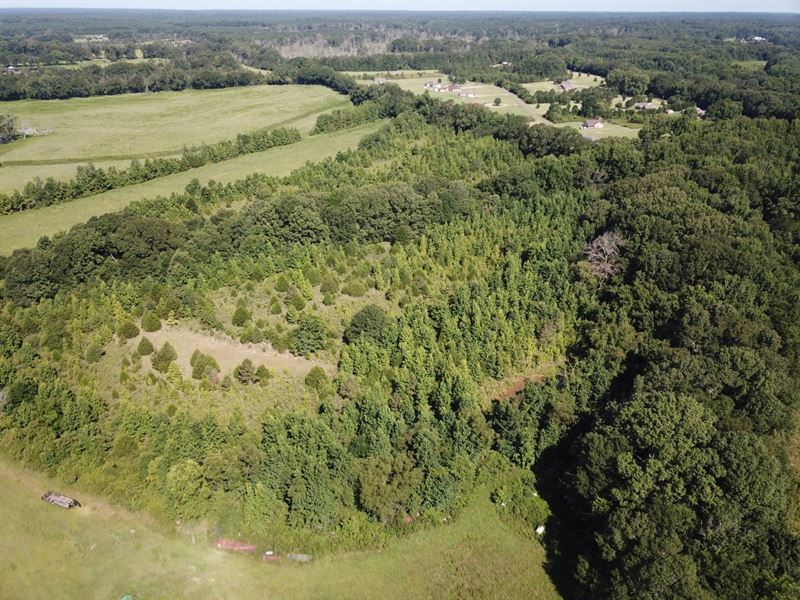 Scotland Pasture 188 : Benton : Yazoo County : Mississippi