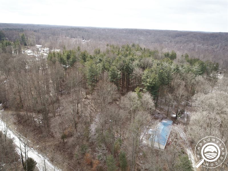 Unrestricted Land in Bloomfield : Bloomfield : Greene County : Indiana