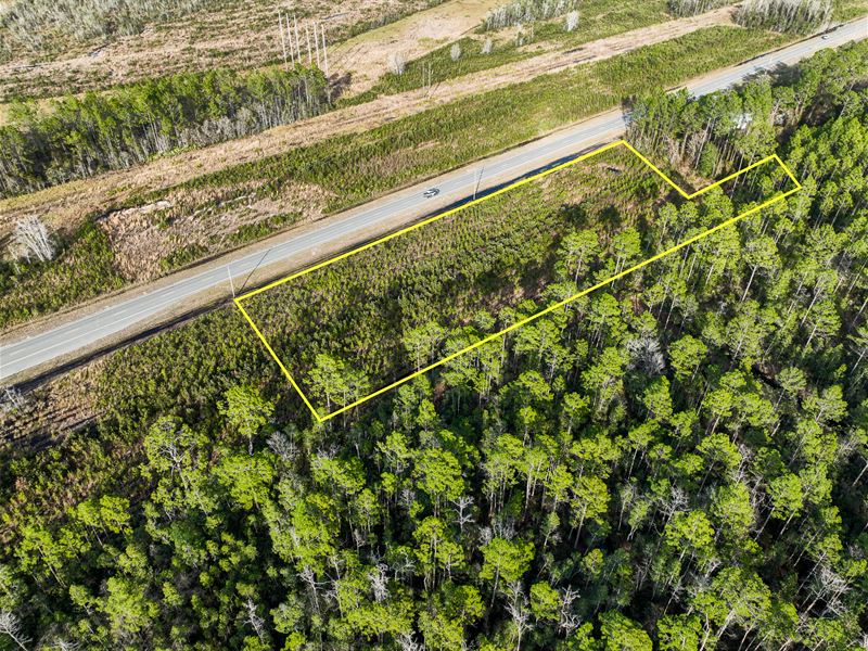 Tract 3, 2.74 Acres, Hwy 32 : Hortense : Brantley County : Georgia