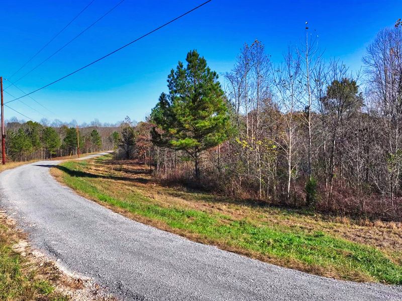3.8 Ac with Road Frontage, No HOA : Indian Mound : Stewart County : Tennessee