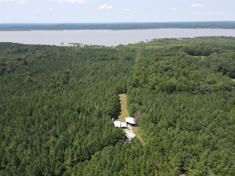 38.8 Acres in Yalobusha County, MS : Coffeeville : Yalobusha County : Mississippi