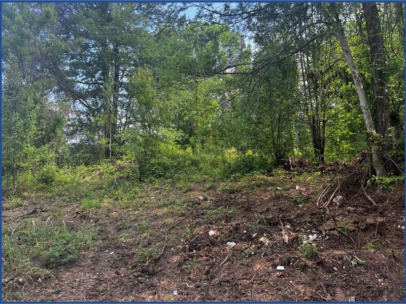 Lot 176 in Hinds County in Jackson : Jackson : Hinds County : Mississippi
