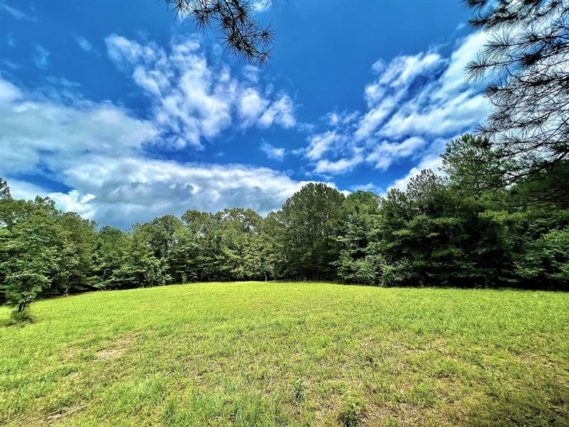 Homesite and Recreational Property : Butler : Taylor County : Georgia