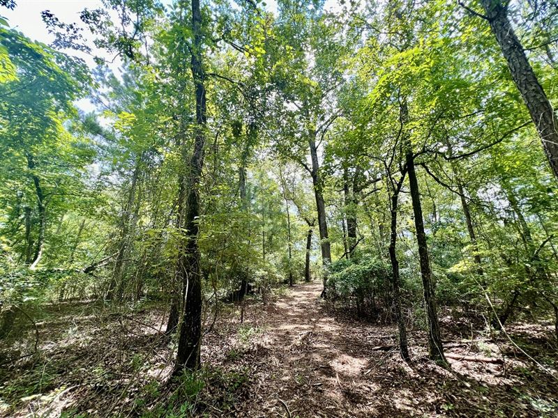 Beautiful Rural Homesite : Butler : Taylor County : Georgia