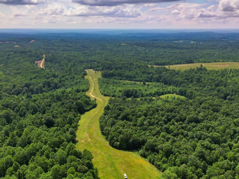 3 Acres with Access & No HOA : Indian Mound : Stewart County : Tennessee