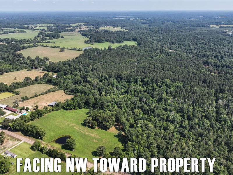 7.5 Acres, Stream, Owner Finance : Loranger : Tangipahoa Parish : Louisiana