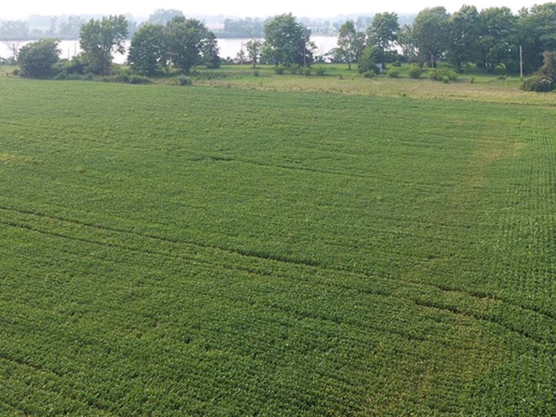 Secluded Riverfront Property : Oak Harbor : Ottawa County : Ohio