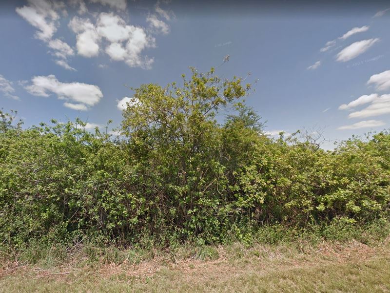 Stunning 0.25 Acre Lot Beckons You : Port Charlotte : Charlotte County : Florida
