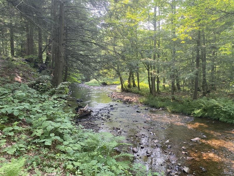 On Scenic Prince Brook : Osceola : Lewis County : New York