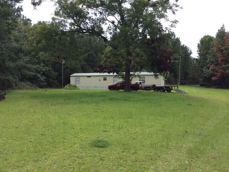 Carter Rd Tract with Mobile Home : Luverne : Crenshaw County : Alabama
