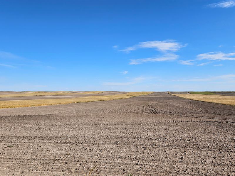 McCoy Dryland : Bushnell : Kimball County : Nebraska