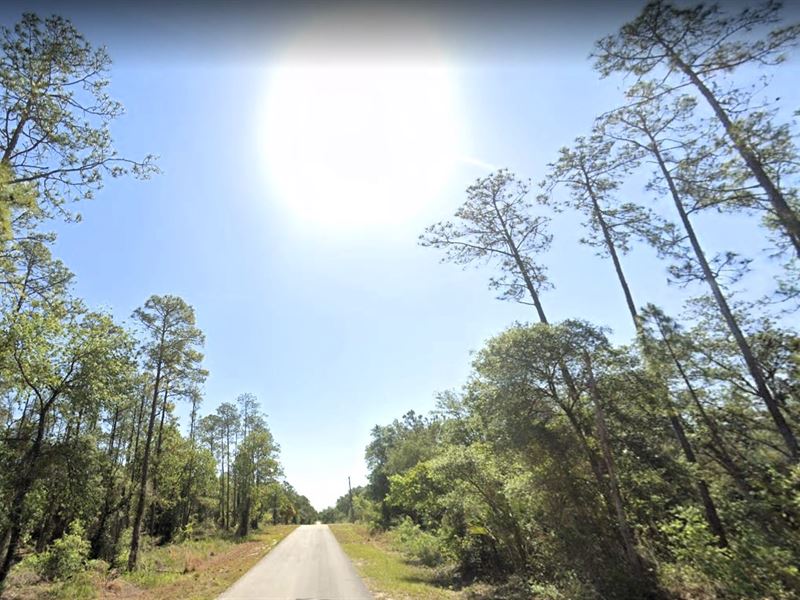 Wonder at Rainbow Lake, $303/Mo : Dunnellon : Marion County : Florida