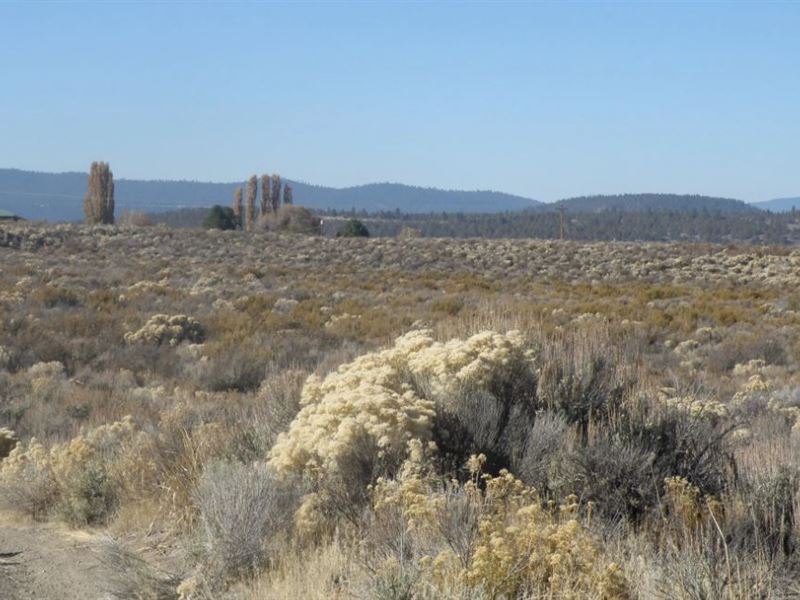 Embrace Nature, Dodge Debt, $275/Mo : Beatty : Klamath County : Oregon