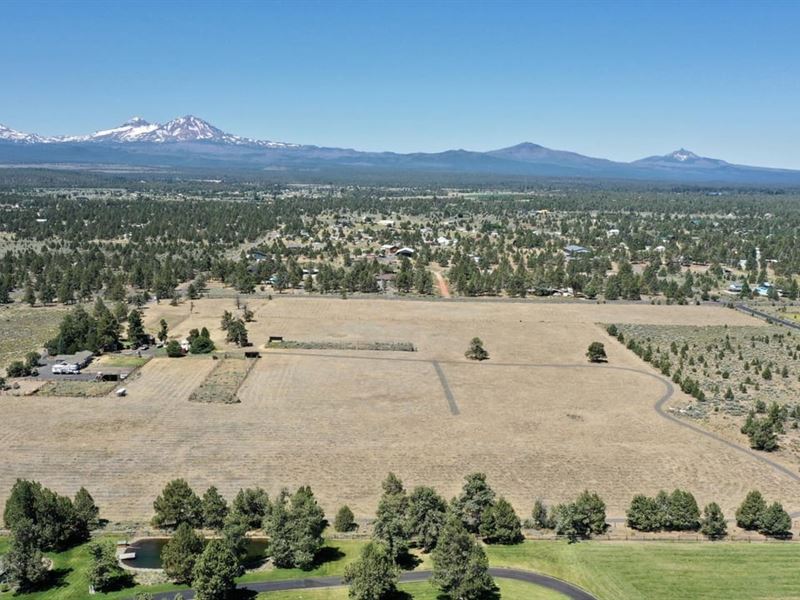Ostrich Ranch : Bend : Deschutes County : Oregon