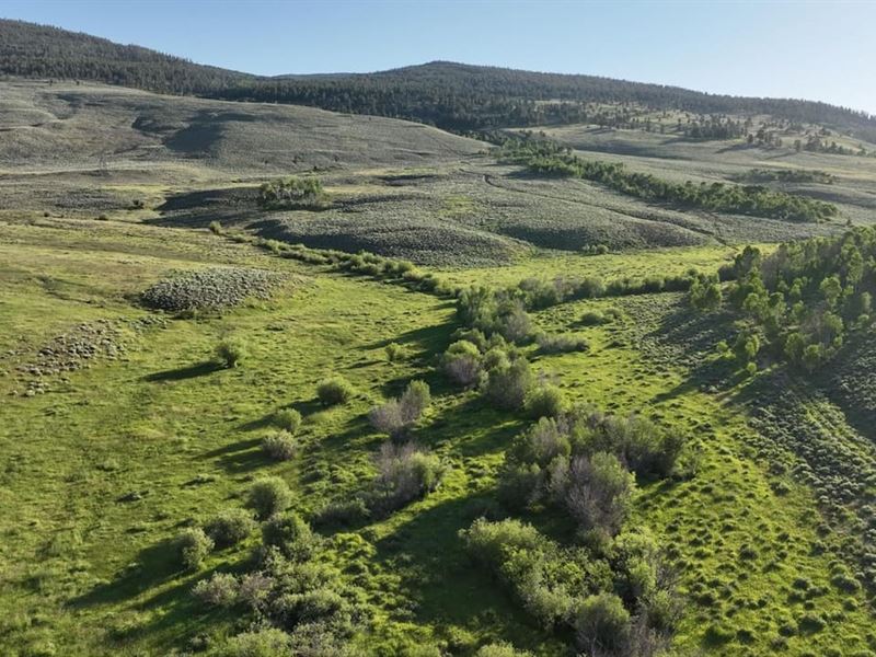 Tomichi Dome Hunting Ranch : Gunnison : Gunnison County : Colorado