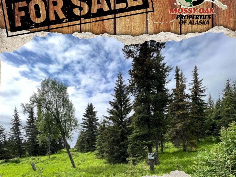 Undeveloped View Lot in Ninilchik : Ninilchik : Kenai Peninsula Borough : Alaska