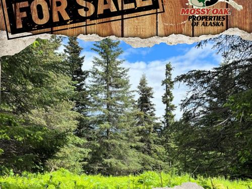 Undeveloped View Lot in Ninilchik : Ninilchik : Kenai Peninsula Borough : Alaska