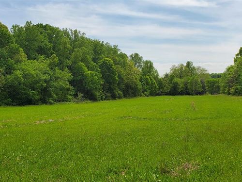 28.68 Acres Off Westminster Dr : Statesville : Iredell County : North Carolina