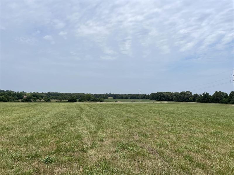 102 Acres Farm/Hunting Ground 10 MI : Marshfield : Webster County : Missouri