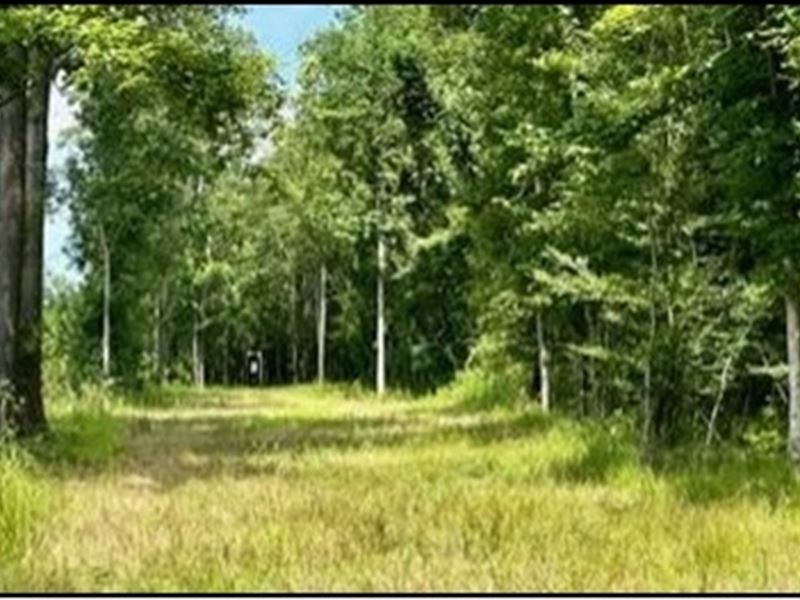 51 Acres in Simpson County in Pinol : Pinola : Simpson County : Mississippi