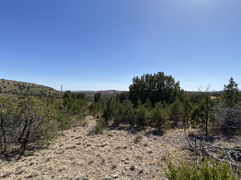 Enjoy A Sunny & Quiet Lifestyle : Timberon : Otero County : New Mexico