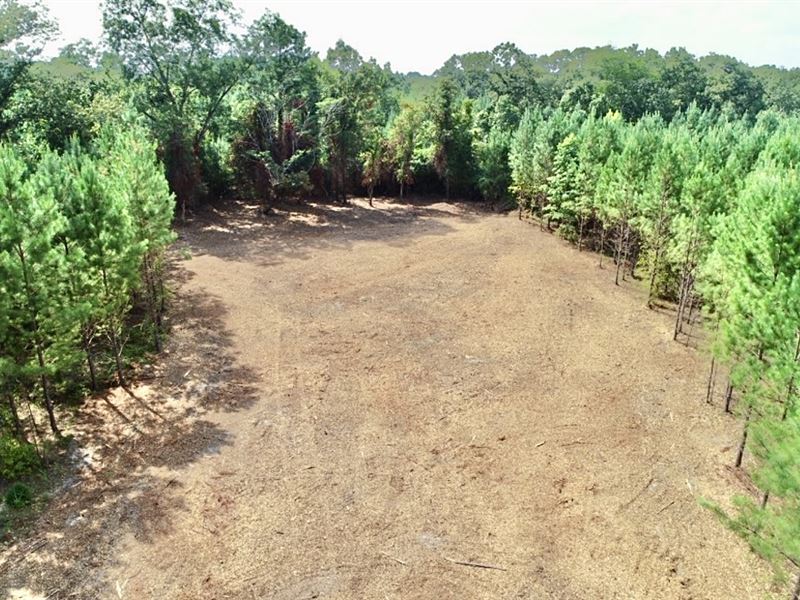 Homesite in The Country : Butler : Taylor County : Georgia